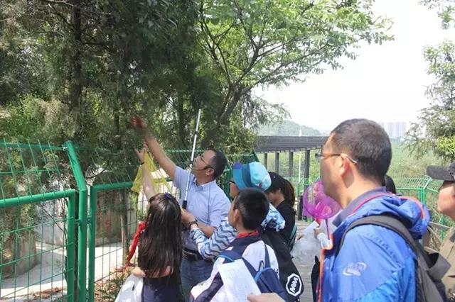 走進(jìn)李良濟(jì)，尋藥樹山中(圖2)